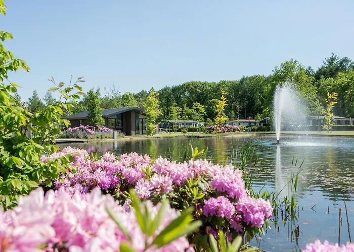 In Eindhoven Near Center * Veldhoven