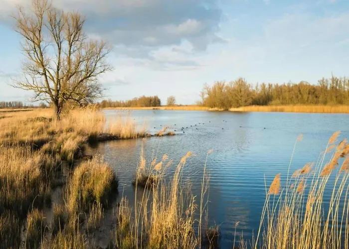 Chalet In Eindhoven Near Center
