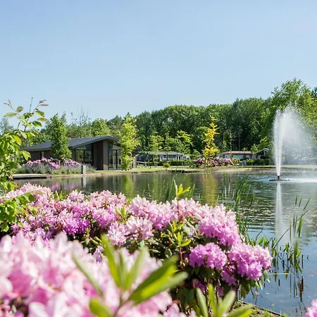 In Eindhoven Near Center * Veldhoven