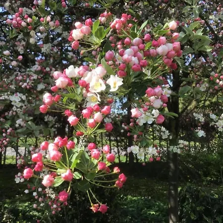Chalet In Eindhoven Near Center Veldhoven