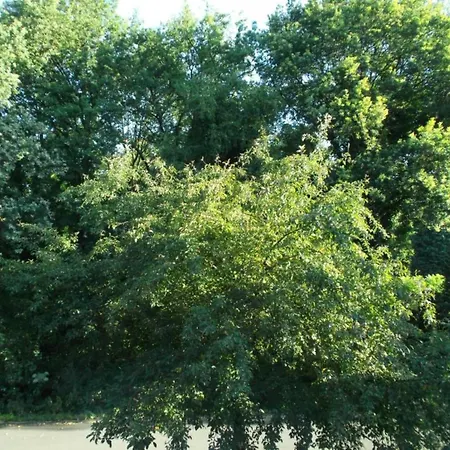 In Eindhoven Near Center * Veldhoven