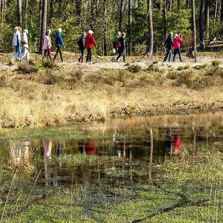 Chalet In Eindhoven Near Center