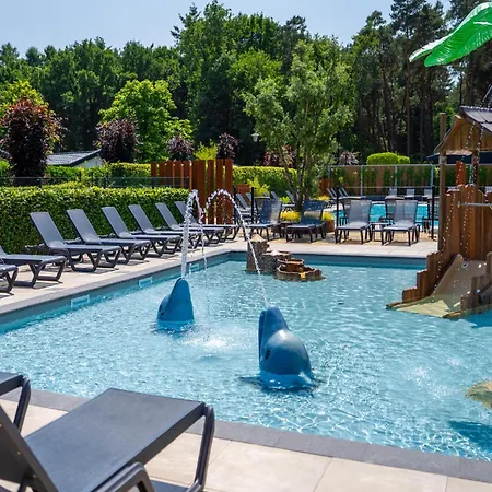 In Eindhoven Near Center * Veldhoven