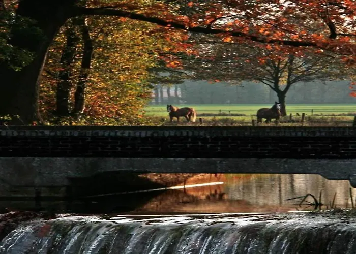 In Eindhoven Near Center Chalet *