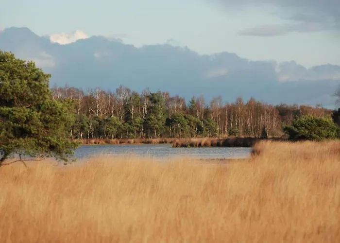 Chalet In Eindhoven Near Center *