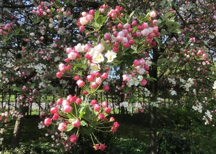 Chalet In Eindhoven Near Center Veldhoven